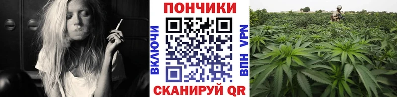 Псилоцибиновые грибы Жиздра